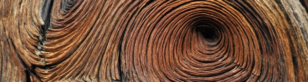 spirals in wood
